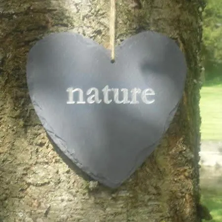 Moulin De Micro Et - Bed & Dreams Moxhe