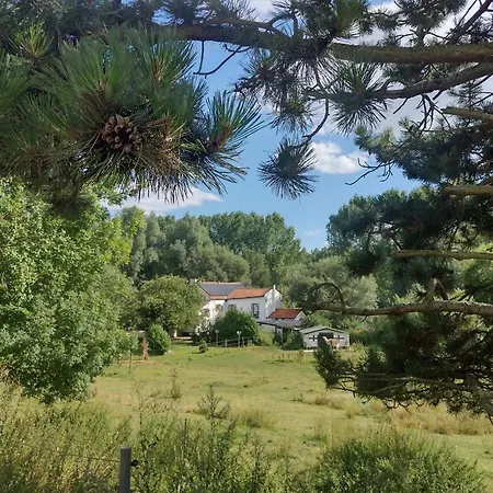 Moulin De Moxhe Micro Gite Et Gite - Bed & Dreams Hotel